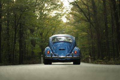 blue car in forest nature