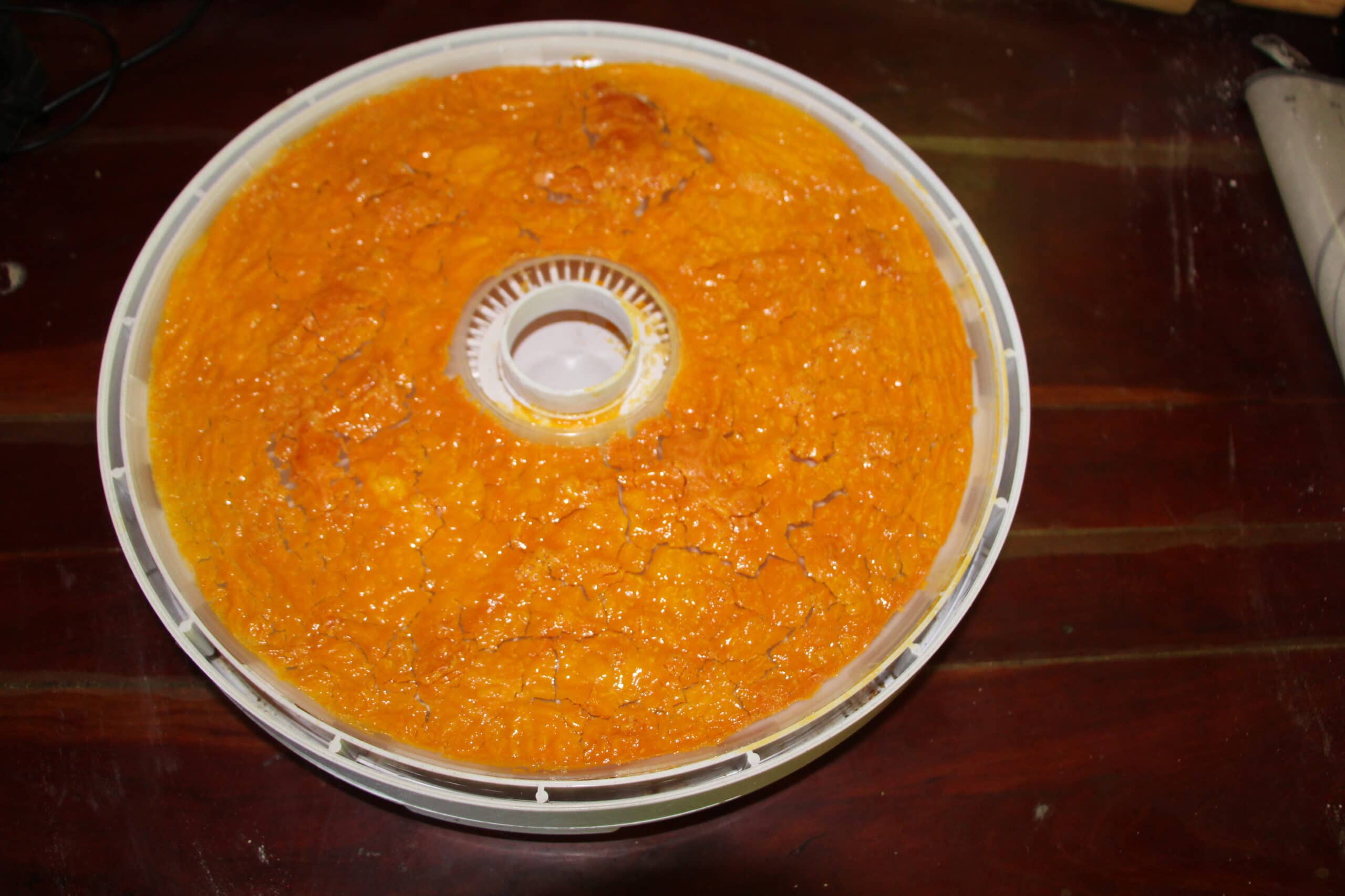 How To Dehydrate Eggs in 2025