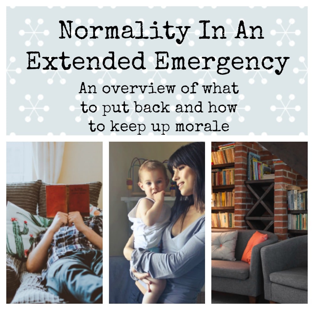 Normality Throughout An Prolonged Emergency : An outline of what to place again and  sustain morale