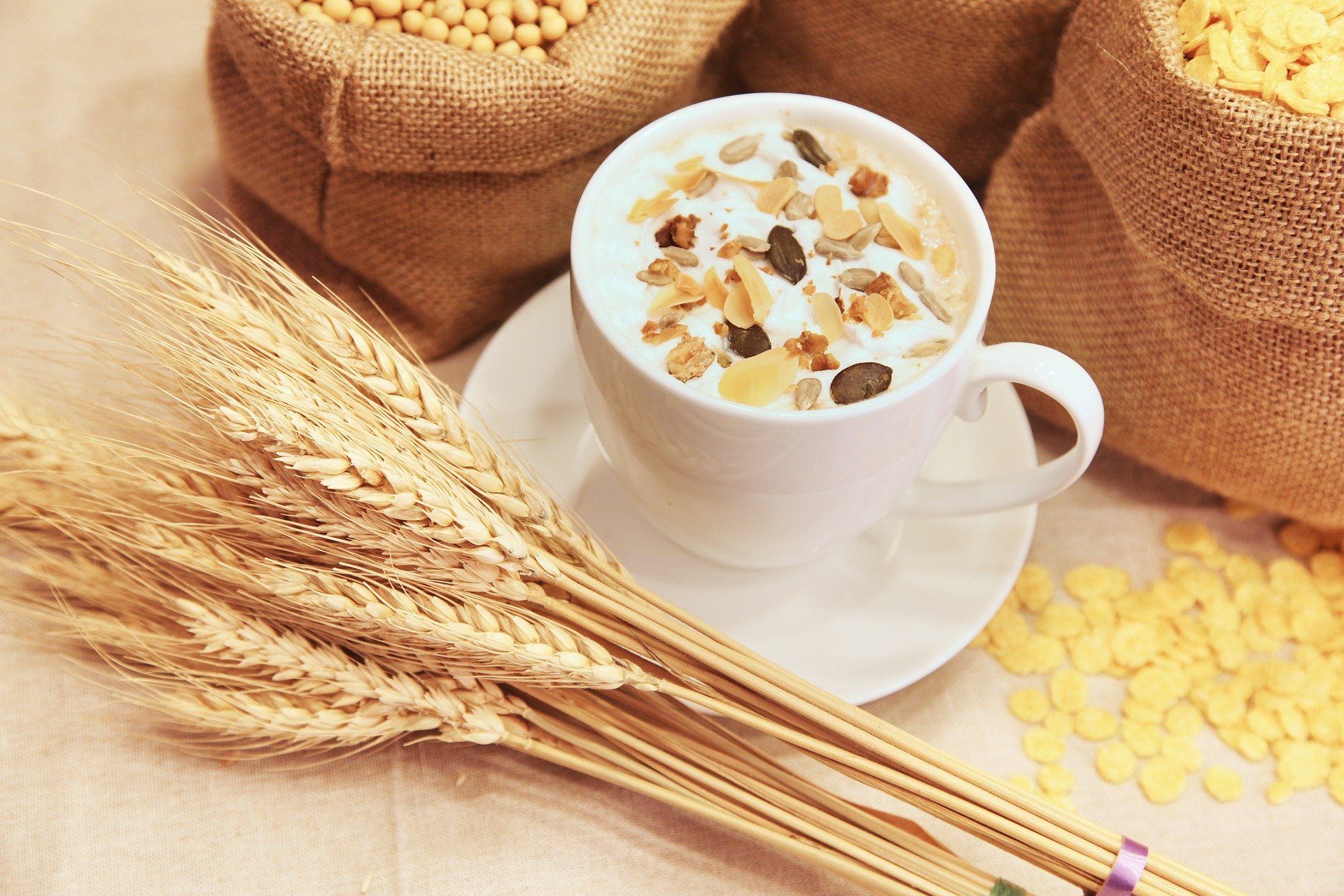 Sow Your Survival Oats. Recipes That includes Oats in your Meals Storage.