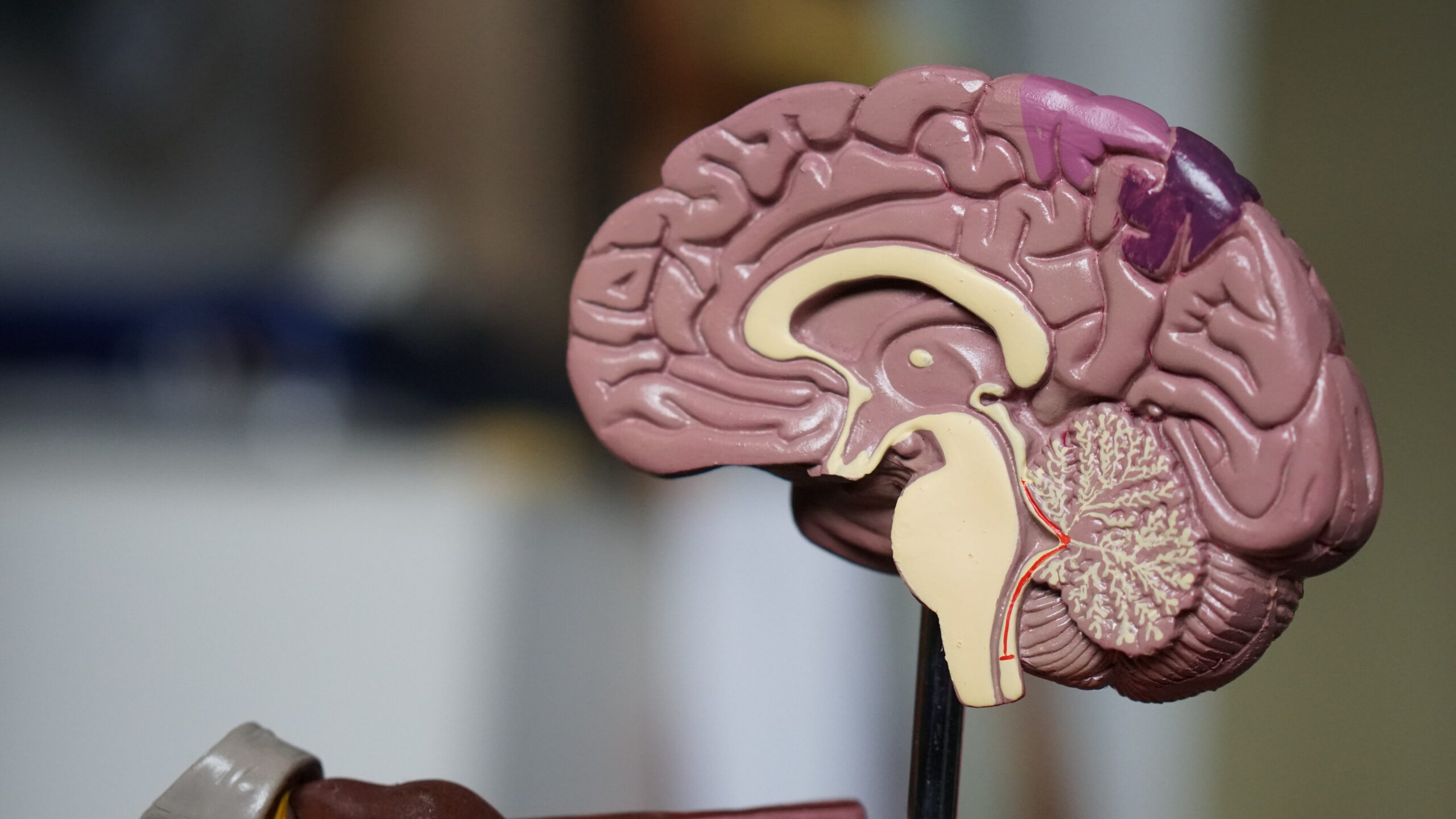 Can Covid-19 Trigger A Change In Mind Chemistry and Habits?